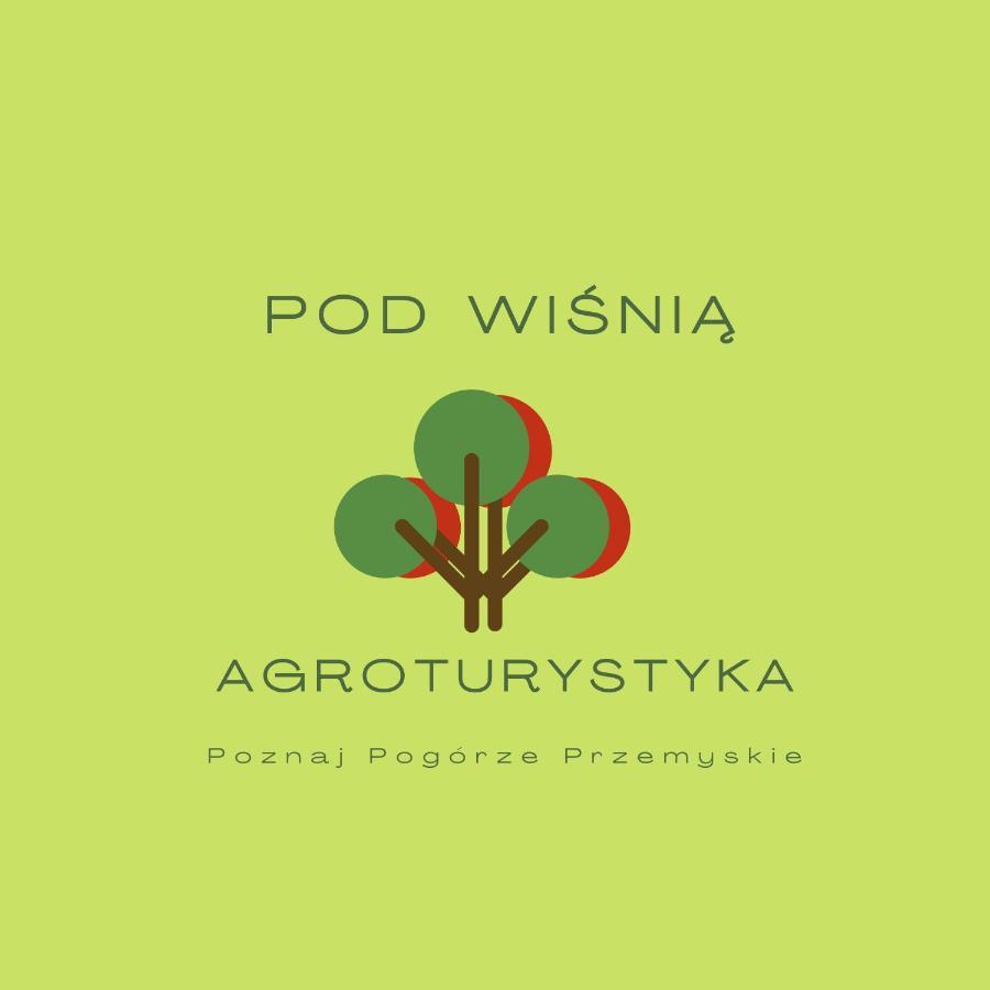 Pod Wisnia Agroturystyka Kalwaria Paclawska Apartment Екстериор снимка